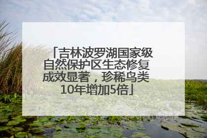 吉林波罗湖国家级自然保护区生态修复成效显著，珍稀鸟类10年增加5倍