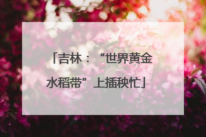 吉林：“世界黄金水稻带”上插秧忙