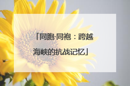 同胞·同袍：跨越海峡的抗战记忆