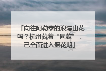 向往阿勒泰的浪漫山花吗？杭州藏着“同款”，已全面进入盛花期
