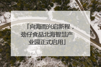 向海而兴启新程，劲仔食品北海智慧产业园正式启用