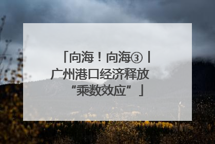 向海！向海③丨广州港口经济释放“乘数效应”