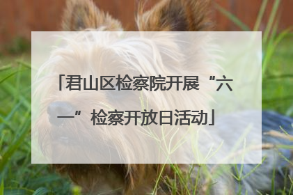 君山区检察院开展“六一”检察开放日活动