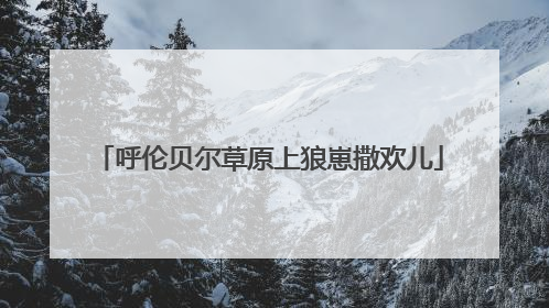 呼伦贝尔草原上狼崽撒欢儿