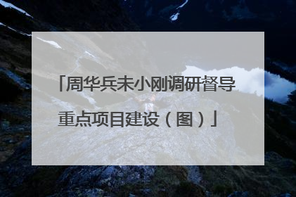 周华兵未小刚调研督导重点项目建设（图）