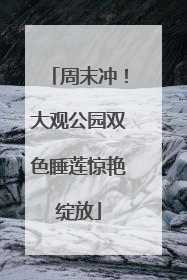 周末冲！大观公园双色睡莲惊艳绽放
