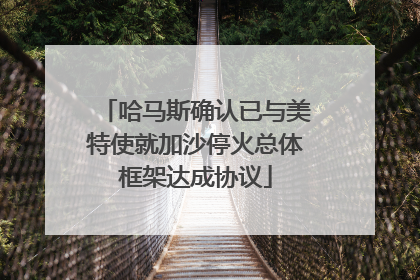 哈马斯确认已与美特使就加沙停火总体框架达成协议