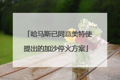 哈马斯已同意美特使提出的加沙停火方案