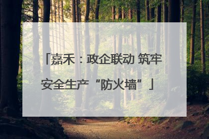 嘉禾：政企联动 筑牢安全生产“防火墙”