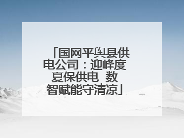 国网平舆县供电公司：迎峰度夏保供电  数智赋能守清凉