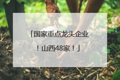 国家重点龙头企业！山西48家！