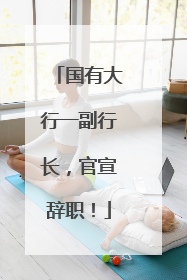 国有大行一副行长，官宣辞职！