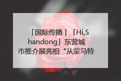 国际传播｜「Hi,Shandong」东营城市推介展亮相“从蒙马特到加里波第”文化节