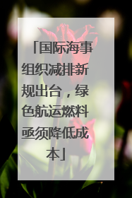 国际海事组织减排新规出台，绿色航运燃料亟须降低成本
