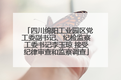 四川绵阳工业园区党工委副书记、纪检监察工委书记李玉琼 接受纪律审查和监察调查