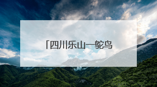 四川乐山一鸵鸟“越狱”马路狂奔，目击者：时速超40码，还对我“笑”了下