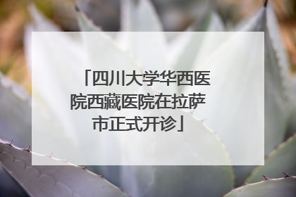 四川大学华西医院西藏医院在拉萨市正式开诊