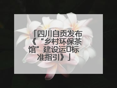 四川自贡发布《“乡村环保茶馆”建设运⾏标准指引》