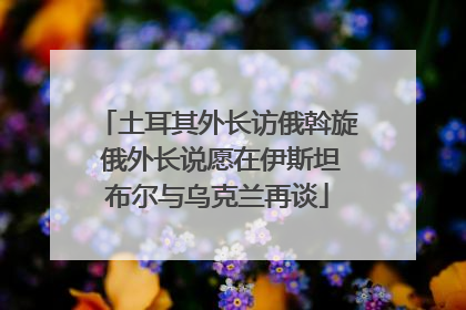 土耳其外长访俄斡旋 俄外长说愿在伊斯坦布尔与乌克兰再谈