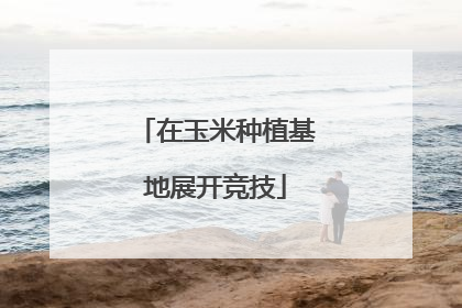 在玉米种植基地展开竞技