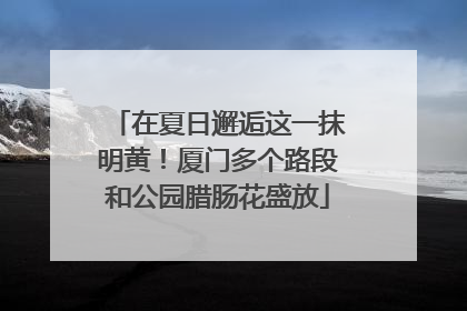 在夏日邂逅这一抹明黄！厦门多个路段和公园腊肠花盛放