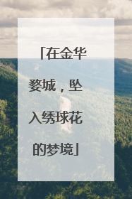 在金华婺城，坠入绣球花的梦境