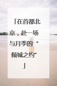在首都北京，赴一场与月季的“倾城之约”