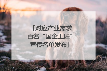 对应产业需求 百名“国企工匠”宣传名单发布