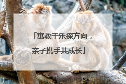 寓教于乐探方向，亲子携手共成长