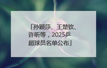 孙颖莎、王楚钦、许昕等，2025乒超球员名单公布