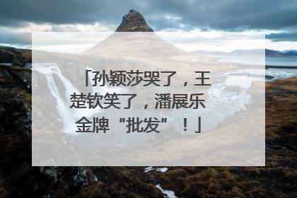孙颖莎哭了，王楚钦笑了，潘展乐金牌“批发”！