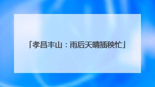 孝昌丰山：雨后天晴插秧忙