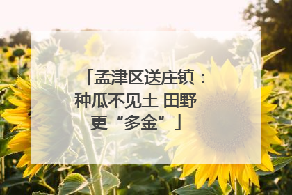 孟津区送庄镇：种瓜不见土 田野更“多金”
