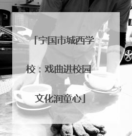宁国市城西学校：戏曲进校园 文化润童心