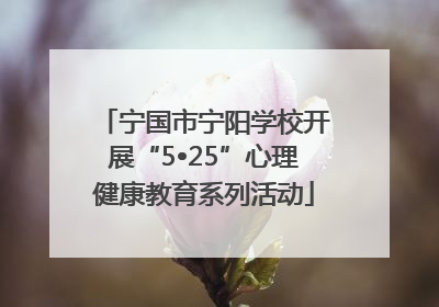 宁国市宁阳学校开展“5•25”心理健康教育系列活动