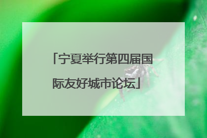 宁夏举行第四届国际友好城市论坛