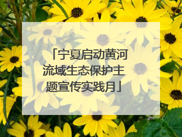 宁夏启动黄河流域生态保护主题宣传实践月