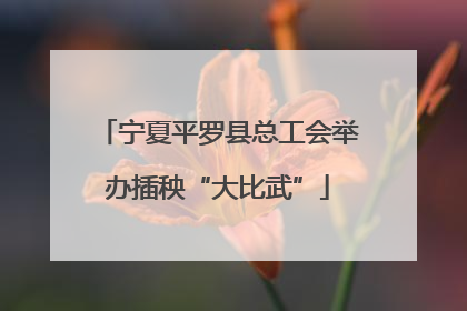 宁夏平罗县总工会举办插秧“大比武”
