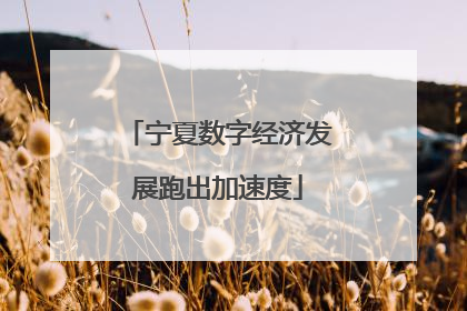 宁夏数字经济发展跑出加速度