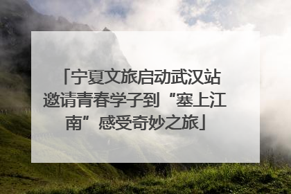 宁夏文旅启动武汉站 邀请青春学子到“塞上江南”感受奇妙之旅