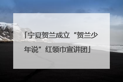 宁夏贺兰成立“贺兰少年说”红领巾宣讲团