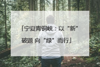 宁夏青铜峡：以“新”破题 向“绿”而行