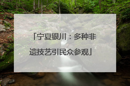 宁夏银川：多种非遗技艺引民众参观