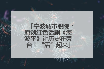 宁波城市职院：原创红色话剧《海波平》让历史在舞台上“活”起来