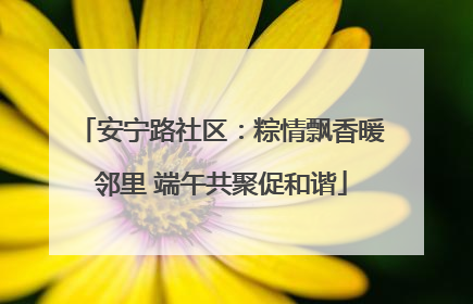 安宁路社区：粽情飘香暖邻里 端午共聚促和谐