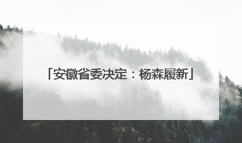 安徽省委决定：杨森履新