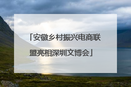 安徽乡村振兴电商联盟亮相深圳文博会