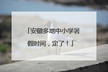 安徽多地中小学暑假时间，定了！