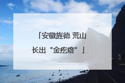 安徽旌德 荒山长出“金疙瘩”