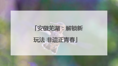 安徽芜湖：解锁新玩法 非遗正青春